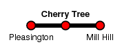 Cherry Tree