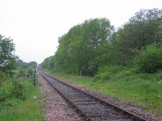 Chapelton looking north