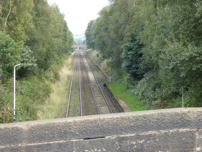 Cherry Tree from bridge
looking east