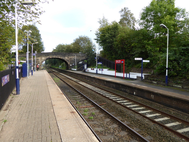 Cherry Tree platforms looking
west
