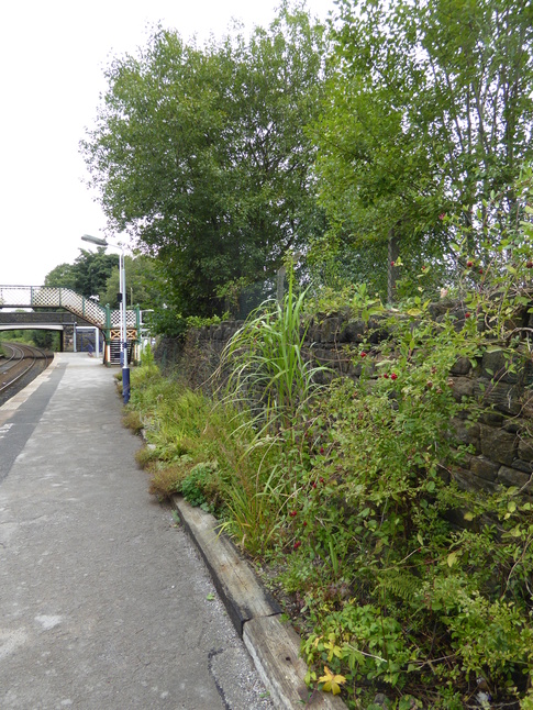 New Mills Newtown platform 1 garden
