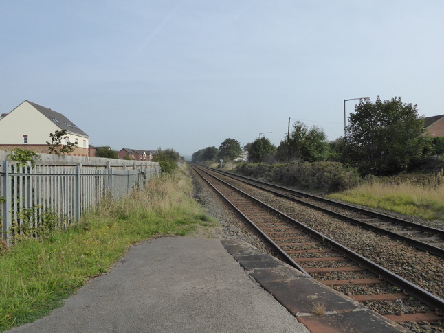 Roose looking north