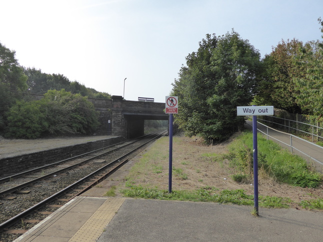 Roose looking south