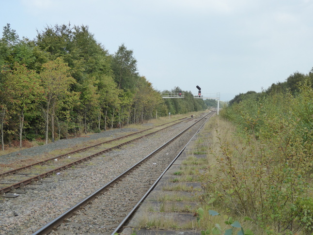 Rose Grove looking east