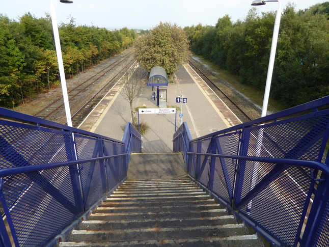 Rose Grove steps