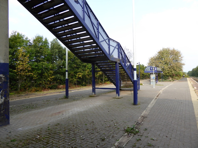 Rose Grove steps rear