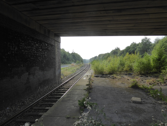 Rose Grove looking west