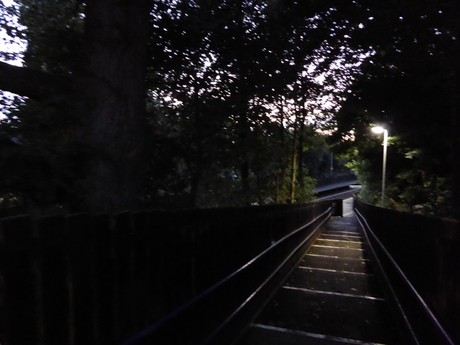 Ryder Brow platform 1 steps
