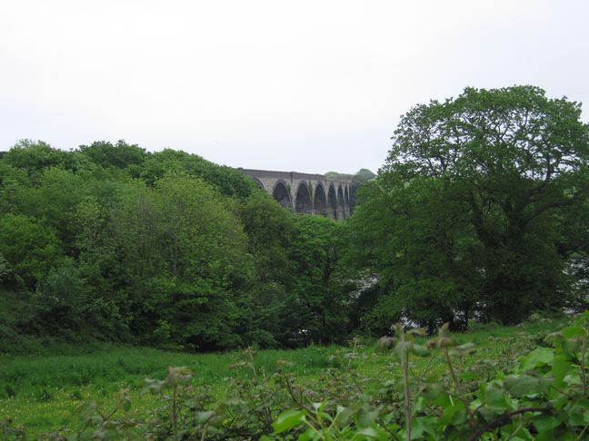 St Germans viaduct