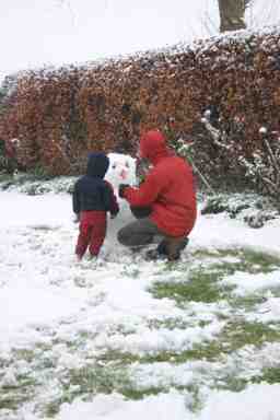 20080323_024.jpg