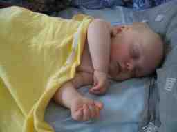 20050807_006.jpg