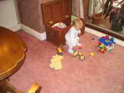 20060617_003.jpg