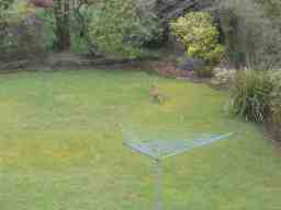 20060320_001.jpg