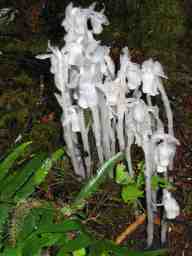 20070721_002.jpg