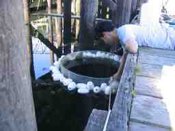 20070801_013.jpg