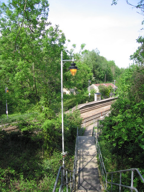 Avoncliff steps