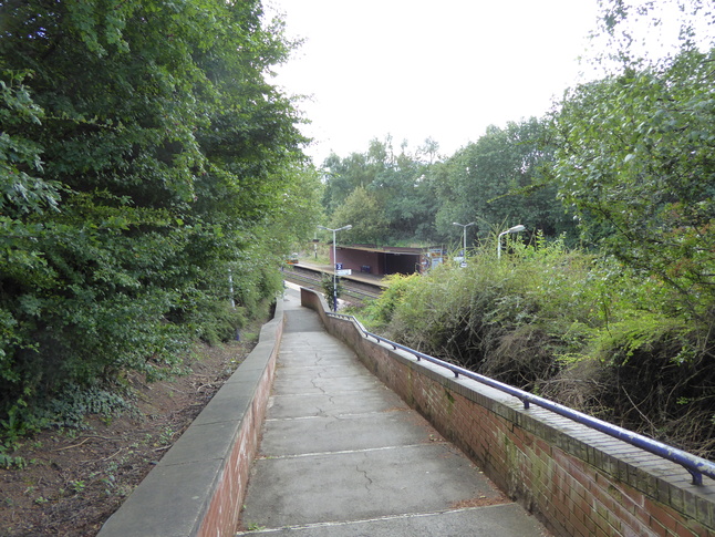 Brinnington platform 2 steps