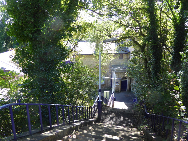 Broadbottom platform 1 side steps