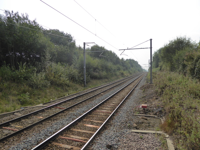 Bryn looking west