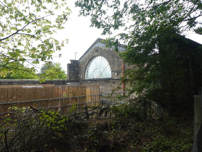 Buxton fan window rear
