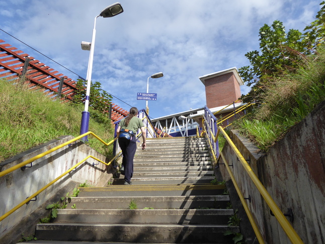Cheadle Hulme central steps