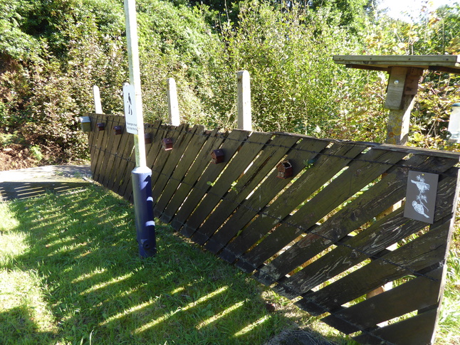 Daisy Hill bee boxes