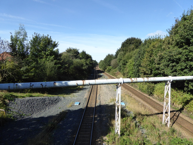 Daisy Hill looking west from road bridge