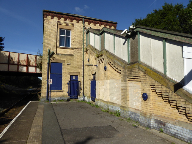 Daisy Hill rear