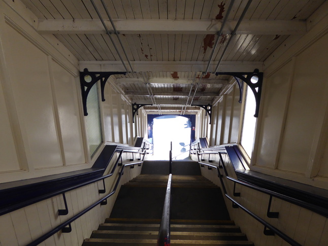 Daisy Hill steps
