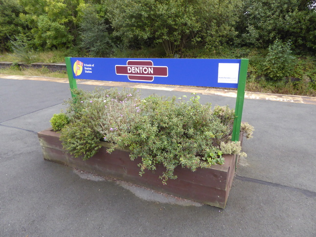 Denton planter