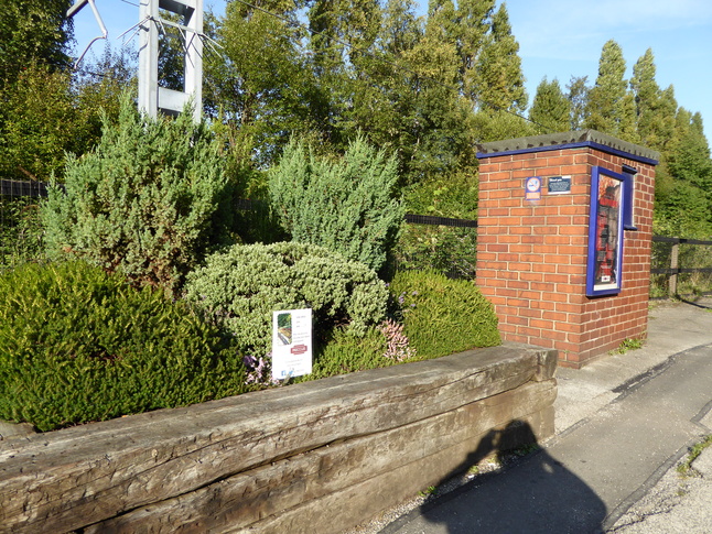 Eccles platform 1 garden