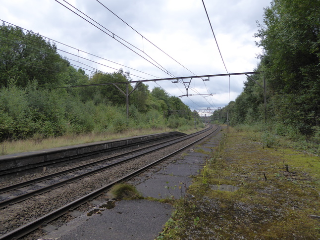 Fairfield platform 1 looking east