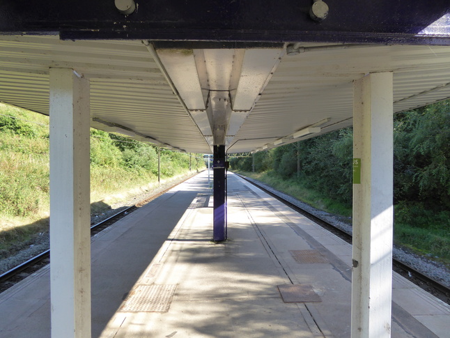 Hattersley under canopy