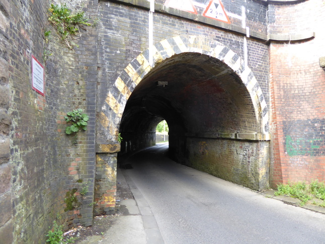 Hyde North tunnel mouth