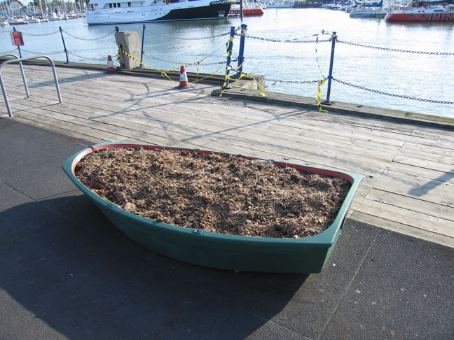 Lymington Pier boat