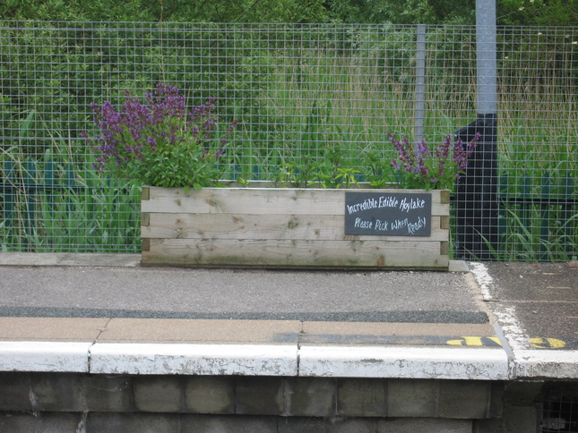 Manor Road planter.  Incredible
Edible Hoylake.  Please Pick When Ready.