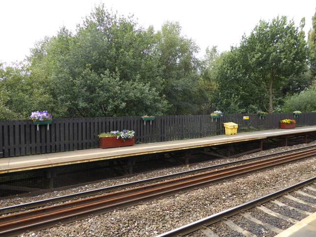 Mills Hill platform 1 planters