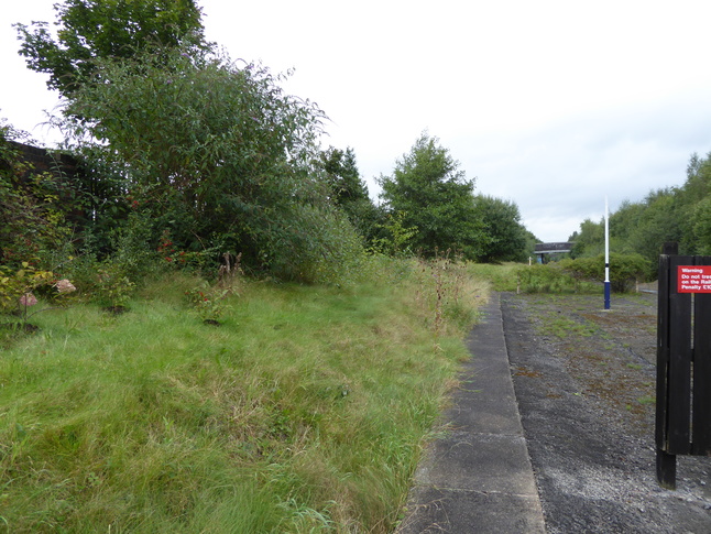 Reddish South disused island platform edge looking east