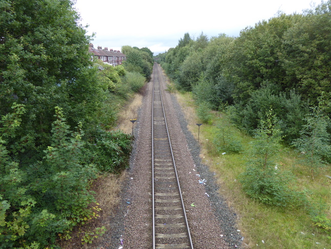 Reddish South looking east from eastern bridge