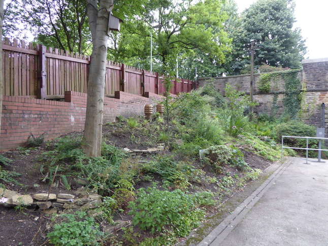 Rose Hill garden