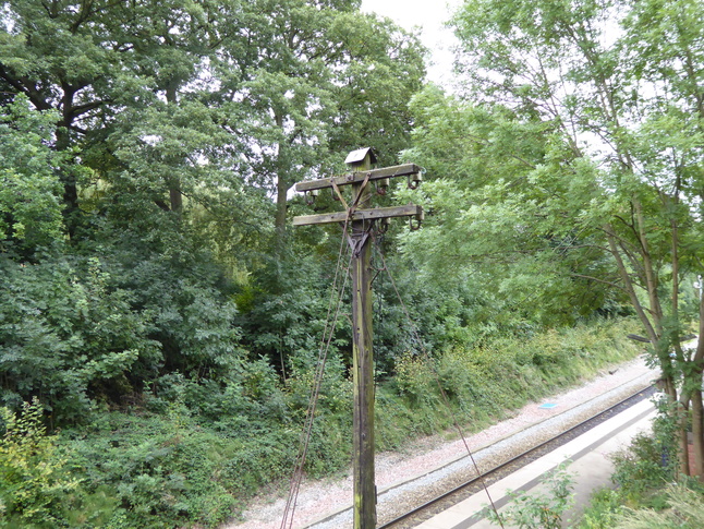Rose Hill telegraph