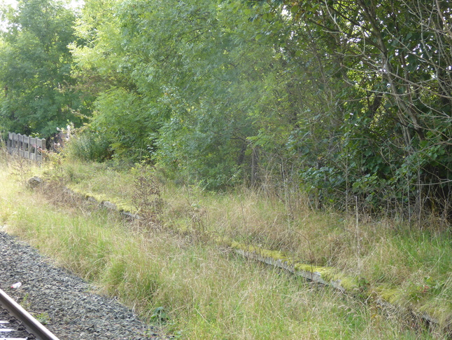 Staveley disused platform