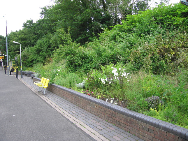 St Michaels platform 2 flowers