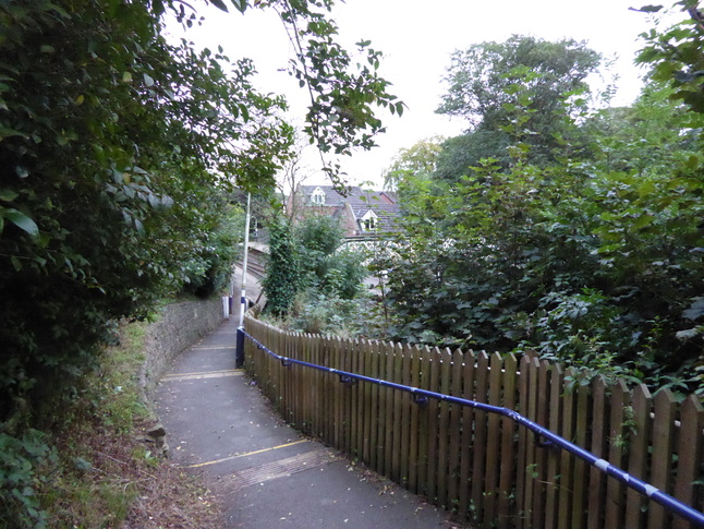 Woodley platform 2 steps
