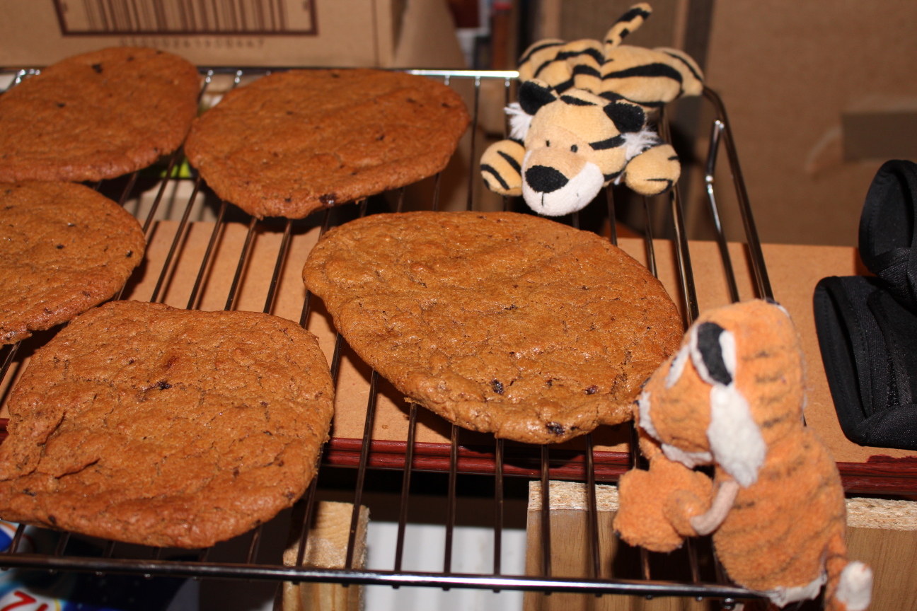 The smaller tigers eagerly wait for the cookies to be cool enough to eat