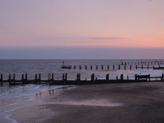 cover2