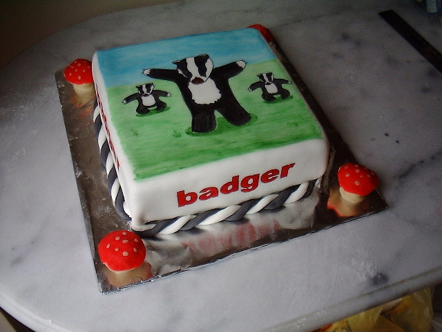 Happy Birthday to Badger! Badger4