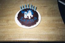  Pony Birthday Cake on My Little Pony Cake For My Sister S 7th Birthday  December 1988