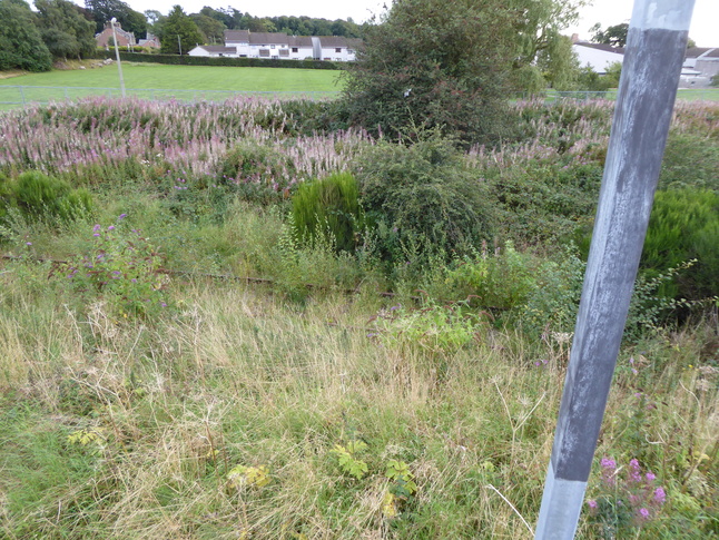 Annan disused track