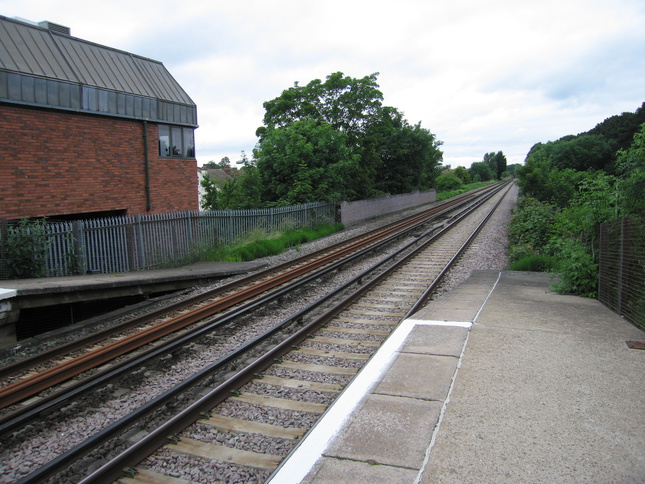 Bache looking north